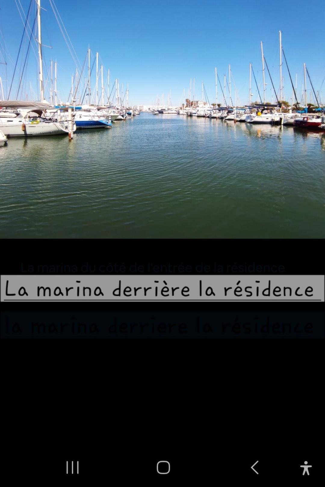 Appartement Cosy Le Phoebus Canet-en-Roussillon Exterior foto